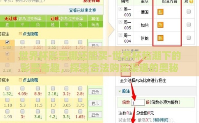 世界杯彩票哪还能买-世界杯热潮下的彩票奇趣，探索合法购买渠道的奥秘