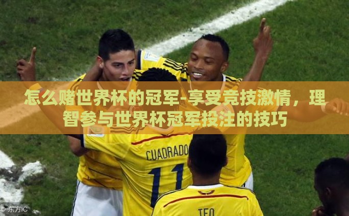 淘宝彩票世界杯-淘宝彩票与世界杯，一场购彩新风尚的融合之旅
