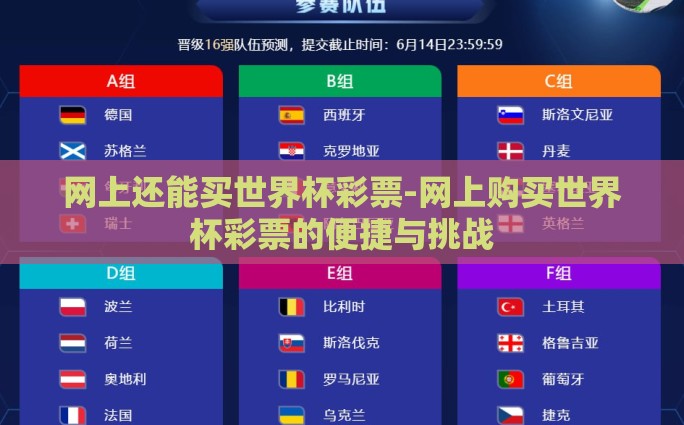 网上还能买世界杯彩票-网上购买世界杯彩票的便捷与挑战