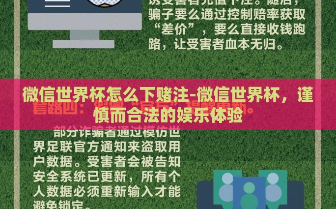 微信世界杯怎么下赌注-微信世界杯，谨慎而合法的娱乐体验