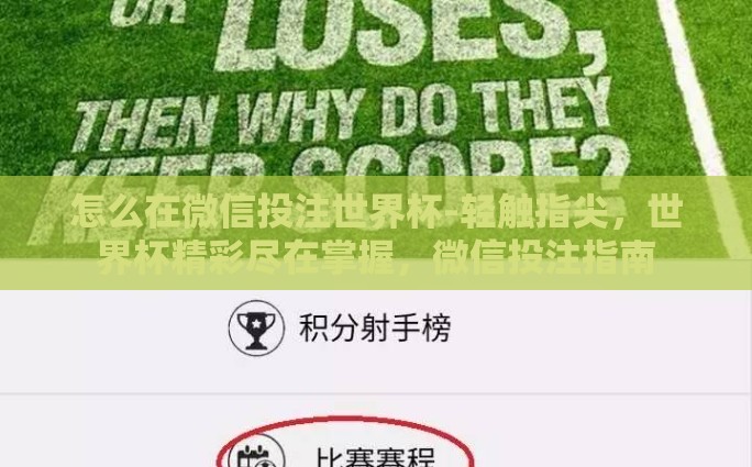 世界杯彩票兑奖机制-世界杯彩票兑奖机制解析，透视精彩赛事与幸运之门的交汇点