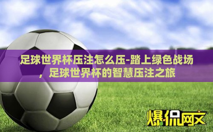 足球世界杯压注怎么压-踏上绿色战场，足球世界杯的智慧压注之旅