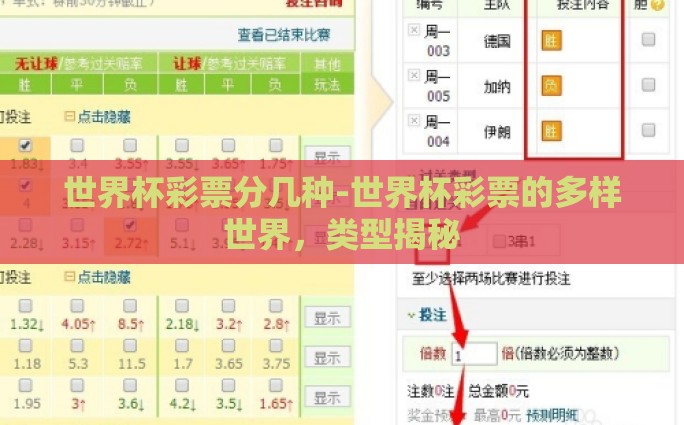 足球世界杯压注怎么压-踏上绿色战场，足球世界杯的智慧压注之旅