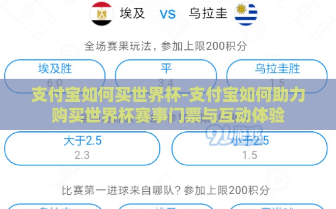 支付宝如何买世界杯-支付宝如何助力购买世界杯赛事门票与互动体验