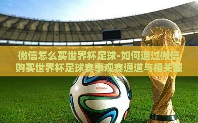 微信怎么买世界杯足球-如何通过微信购买世界杯足球赛事观赛通道与相关服务