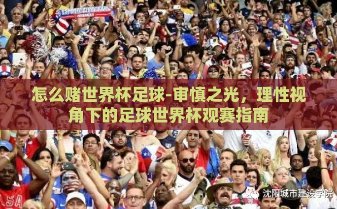 怎么赌世界杯足球-审慎之光，理性视角下的足球世界杯观赛指南