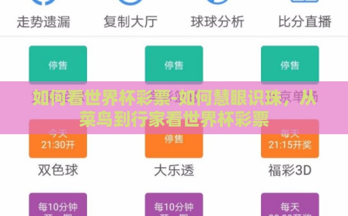 如何看世界杯彩票-如何慧眼识珠，从菜鸟到行家看世界杯彩票