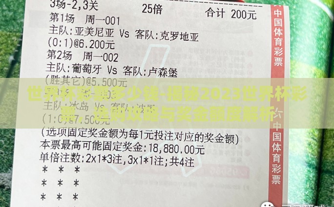 世界杯彩票多少钱-揭秘2023世界杯彩票，选购攻略与奖金额度解析