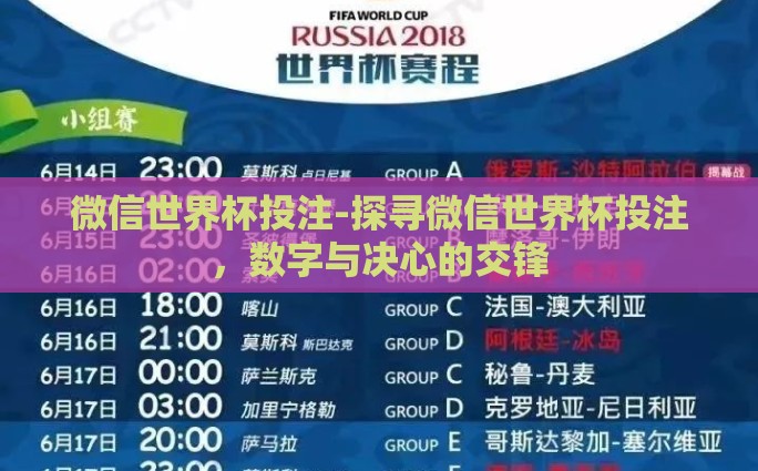 微信世界杯投注-探寻微信世界杯投注，数字与决心的交锋