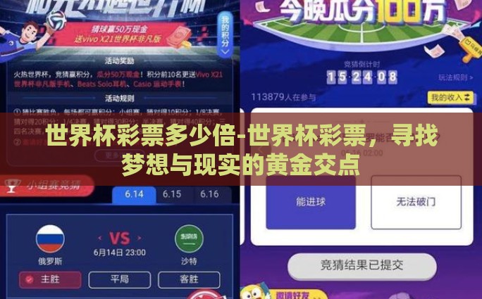 在哪赌世界杯-全球狂欢下的理智抉择，探索世界杯赛事的合法观赛渠道