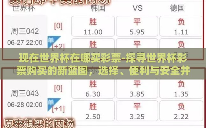 现在世界杯在哪买彩票-探寻世界杯彩票购买的新蓝图，选择、便利与安全并重