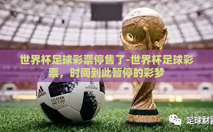 现在世界杯在哪买彩票-探寻世界杯彩票购买的新蓝图，选择、便利与安全并重