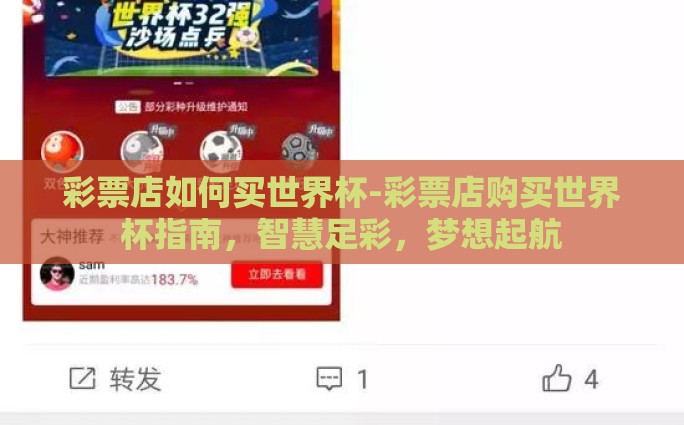 彩票店如何买世界杯-彩票店购买世界杯指南，智慧足彩，梦想起航