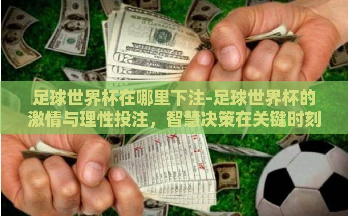 足球世界杯在哪里下注-足球世界杯的激情与理性投注，智慧决策在关键时刻的重要性