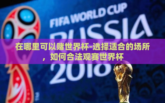 在哪里可以赌世界杯-选择适合的场所，如何合法观赛世界杯