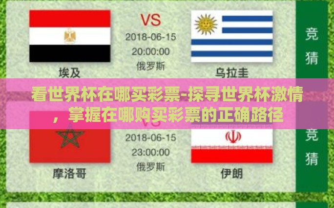 看世界杯在哪买彩票-探寻世界杯激情，掌握在哪购买彩票的正确路径