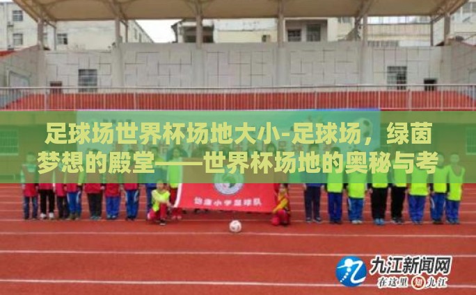 足球场世界杯场地大小-足球场，绿茵梦想的殿堂——世界杯场地的奥秘与考量