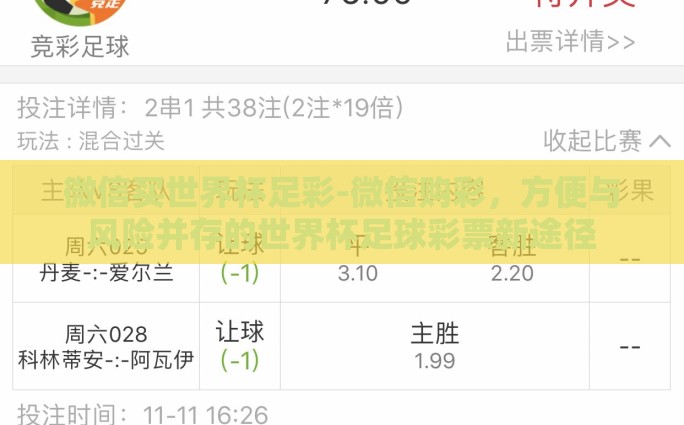 怎么用手机下注世界杯-轻松几步掌握，手机下注世界杯的实用指南