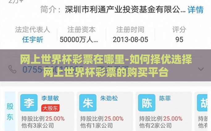 网上世界杯彩票在哪里-如何择优选择网上世界杯彩票的购买平台