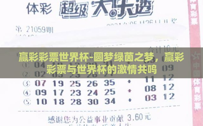 赢彩彩票世界杯-圆梦绿茵之梦，赢彩彩票与世界杯的激情共鸣