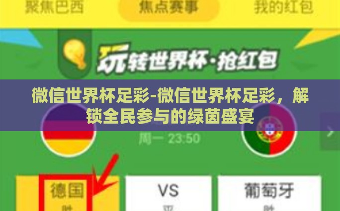 体育彩票世界杯冠军彩-体育彩票世界杯冠军彩，梦想与机遇的交织