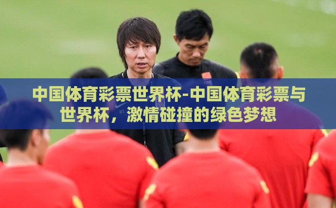 中国体育彩票世界杯-中国体育彩票与世界杯，激情碰撞的绿色梦想